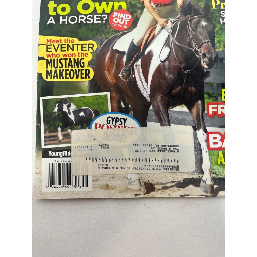 Young Rider Magazine May June 2013 Horse‎ Pony Lovers Mustang Gypsy Poster - Picture 2 of 3